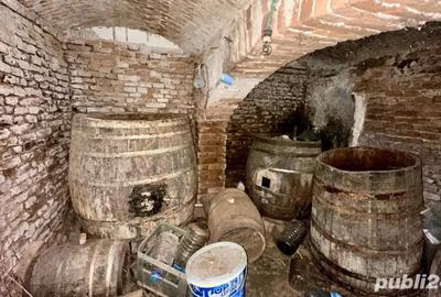 Casă cu 3 camere cu Teren 1543 Mp în Giurgița - 3