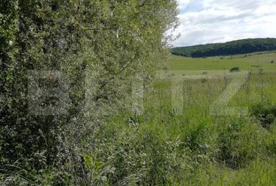 Teren de 5000 mp, în Sângeorgiu de Mureș - 1