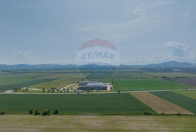 Teren industrial de vanzare - DN13, Brasov - 3