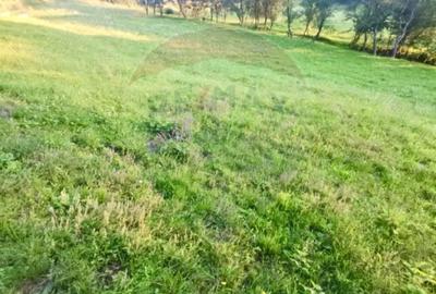 Teren de 6900 mp, în Breb - 2