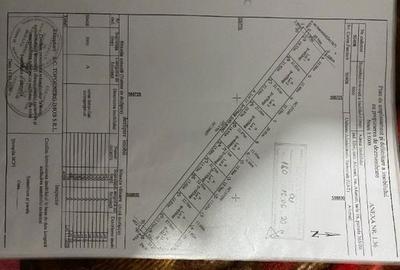 Teren de 5000 mp, în Afumați - 8