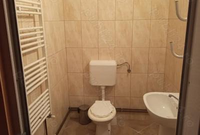 De inchiriat spatiu comercial Biharia - 2