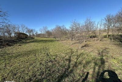 Teren de 960 mp, în Păulești - 3