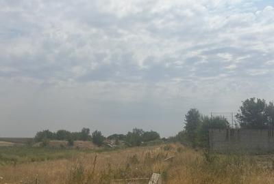 Teren agricol extravilan de 5000 mp, în Pielești - 2