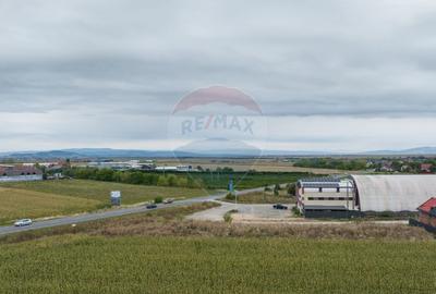 Teren de 790 mp, în Baciu - 10