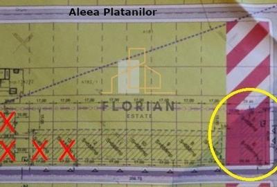 Teren Intravilan Servicii- Giarmata-Vii -str. Teilor- - 1