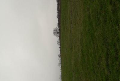 Teren de 3700 mp, în Schitu Duca - 2