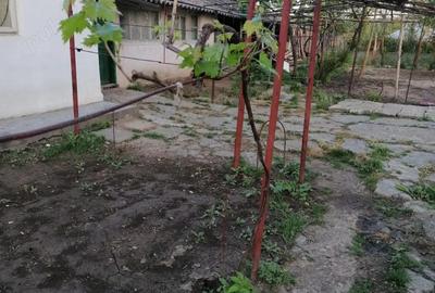 Casă cu 1 camere în Central - 1