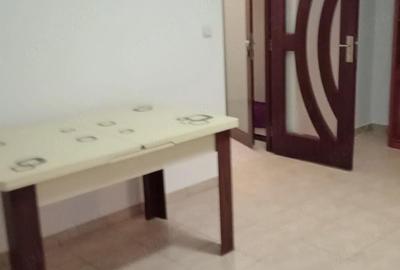 Apartament cu 2 camere semidecomandat în Podu Roș - 8