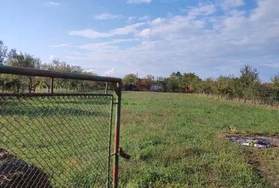 Casă cu 6 camere cu Teren 2900 Mp în Gurbediu - 10
