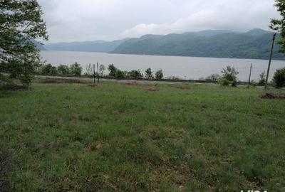 Teren de 2500 mp, în Sichevița - 5