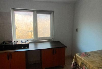 Casă cu 2 camere în Coiciu - 9