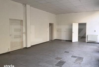 Spațiu comercial, de 265 mp, în Palas - 5