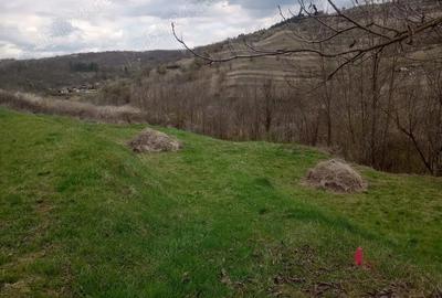 Teren de 771 mp, în Tăuți - 3