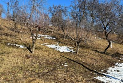 Casă cu 2 camere decomandat în Poiana - 2