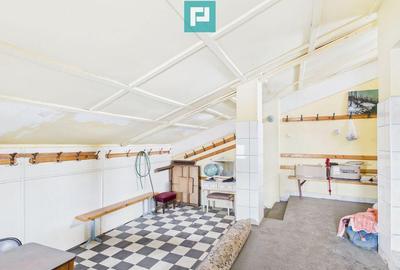 Proprietate multifunctionala central Arad - 6