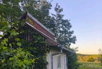 Casa individuala, 3500mp teren, zona Negostina, Siret - 3