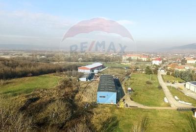 Teren industrial de vânzare - 18.820 mp+proiect de extindere, Bonțida - 7