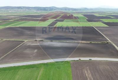Teren agricol extravilan de 10000 mp, în Feldioara - 4