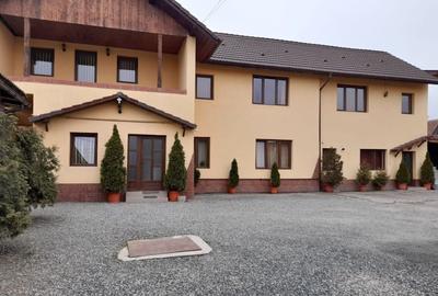 Casă individuală cu 9 camere în Turnișor