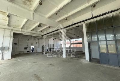 Hala depozitare sau productie, 470 mp, Zona Buziasului - 1