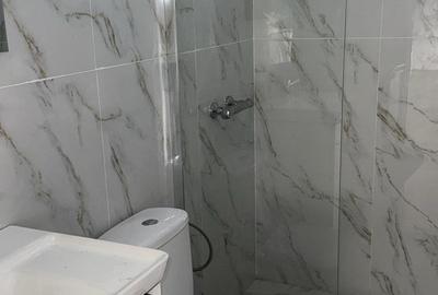 Casă individuală cu 3 camere cu Teren 300 Mp în Berceni - 9