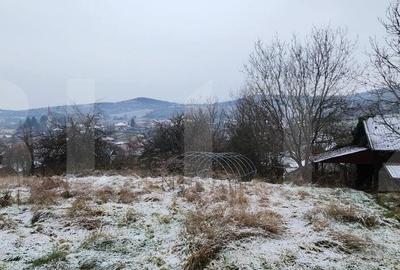 Ocazie Unica! Casa in Livezeni cu 1600 mp Teren cu o a doua casa pe proprietate - 4