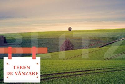 Teren de 125000 mp, în Central