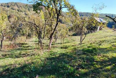 Teren de 2406 mp, în Central - 5