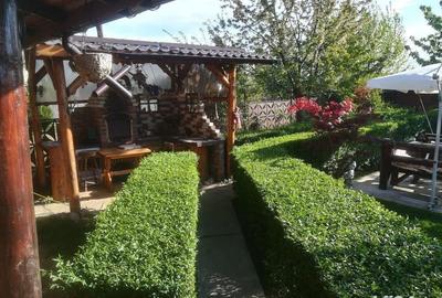 Casă cu 4 camere cu Teren 3000 Mp în Teiș - 1