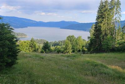 Teren de 2000 mp, în Chirițeni - 6