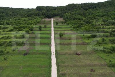 Parcele de 500,700,1000 mp in Aiud , autorizatie de construc - 3