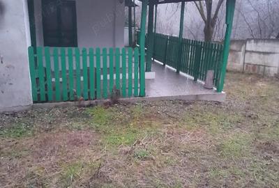 Casă în Glodeni - 8