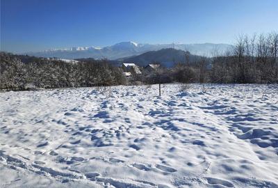 Teren de 1344 mp, în Tălmaciu - 6