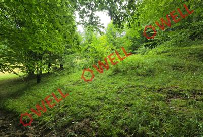 De vânzare teren extravilan loc. Sărămaș - 3