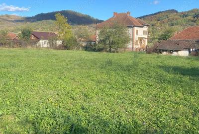 Casa de vanzare in Cainelu de Sus, com. Bai?a, jud. Hunedoara - 4