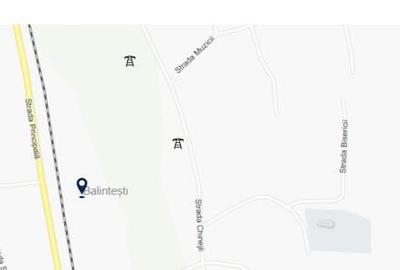 Teren intravilan în Balintești - 3