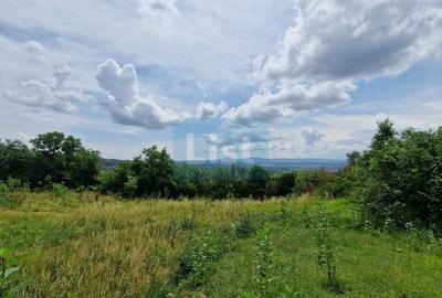 Teren Construcții intravilan de 5143 mp, în Central - 6