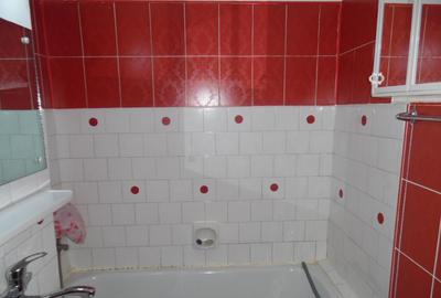 Inchiriez apartament cu 1 camere in Deva, Cuza Voda (Enescu), et. 1 - 21