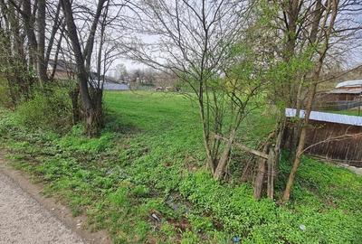 Casă cu 4 camere cu Teren 2650 Mp în Țârdenii Mari - 4