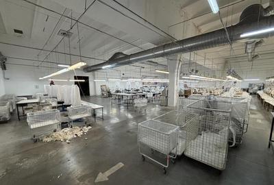 Complex industrial 30130 mp construit - Teren 42558 mp - 6