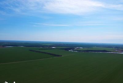 Teren de 1000 mp, în Vasilați - 1