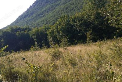 Roscani-Dobra-Teren Cabana-10km A1-Posibilitate Rate - 3