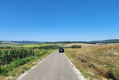 Teren de 21000 mp, în Scânteia - 1