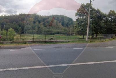 Teren de 12095 mp, în Vârfurile - 3