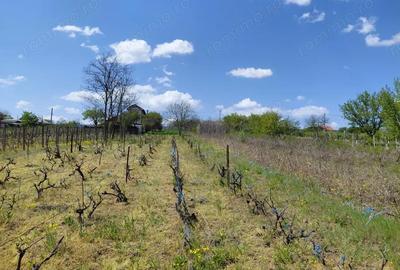 Teren de 3250 mp, în Central - 17