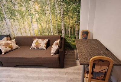 Inchiriez garsoniera zona judeteanu - 5