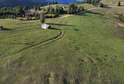 Teren de 1113 mp, în Paltin - 1