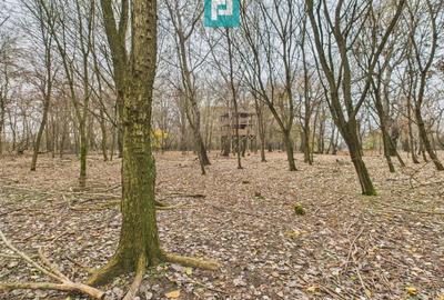Teren extravilan de 5000 mp, în Periam - 28
