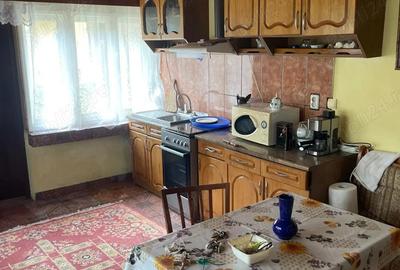 Vand casa cu gradina - 4